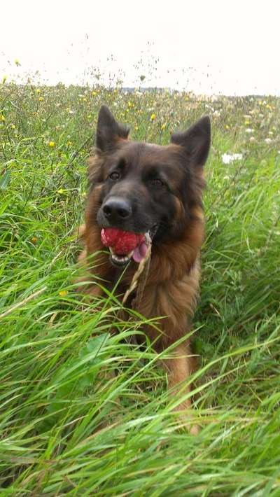 Fotochallenge Nr. 56 - geliebte Senioren-Beitrag-Bild