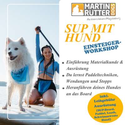 Giftköder-SUP mit Hund-Bild