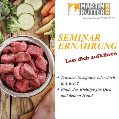 Giftköder-Ernährung des Hundes-Bild