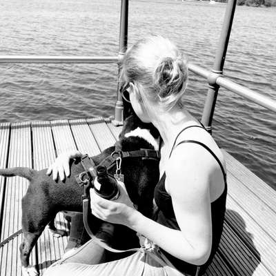 Hundetreffen-Social Walk