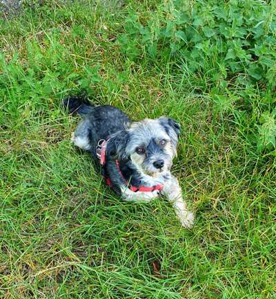 Fotowettbewerb Natur-Beitrag-Bild