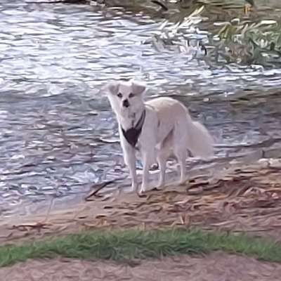 Britta's Profilbild