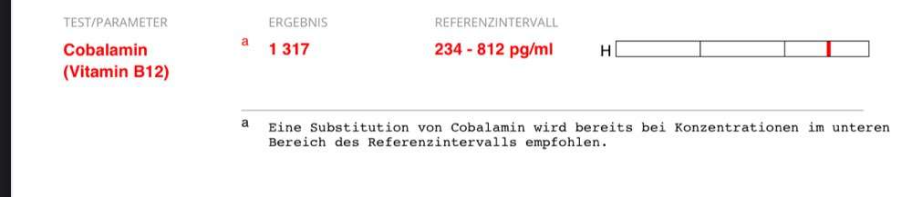 Futter bei sensiblem Magen-Darm Trakt-Beitrag-Bild