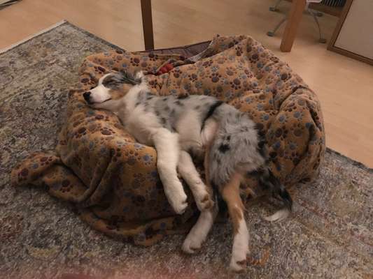 CHALLENGE NR. 34 - Liege-/Schlafpositionen-Beitrag-Bild