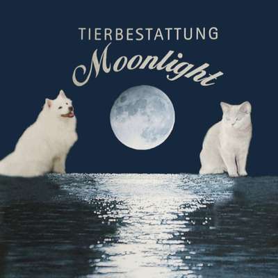 Tierbestatter-Tierbestattung Moonlight-Bild