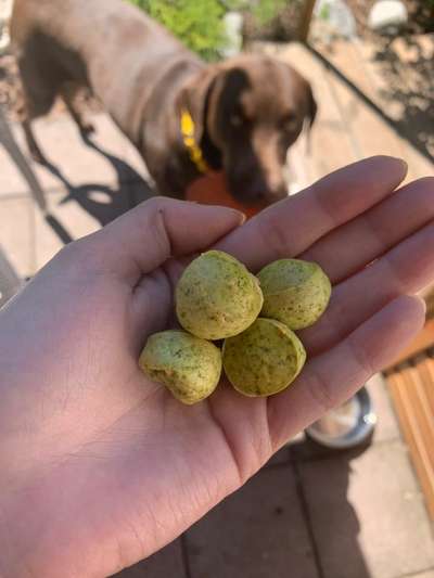 Heute gibt es.....der "ich mach die Leckerlis-Selber-Thread"-Beitrag-Bild