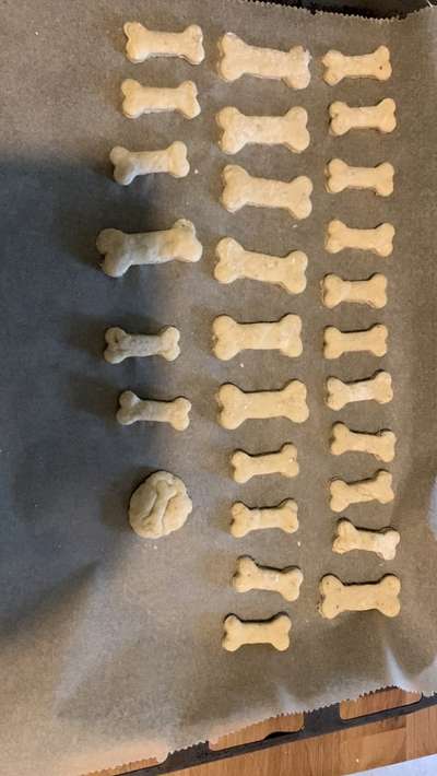 Heute gibt es.....der "ich mach die Leckerlis-Selber-Thread"-Beitrag-Bild