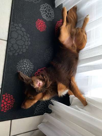 Fotochallenge Nr.65-Beitrag-Bild