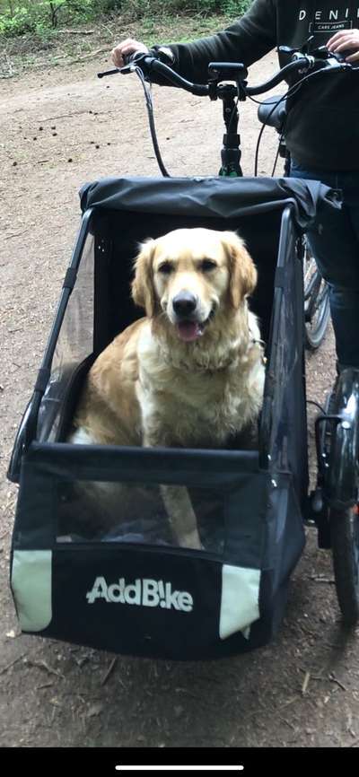 Addbike-Beitrag-Bild