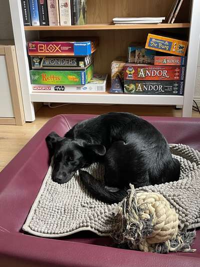 Dringend Hilfe gesucht - wer kennt diese Krankheit?-Beitrag-Bild