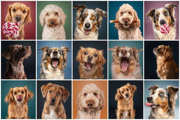 Tierfotografen-Kati Seiler Fotografie-Bild