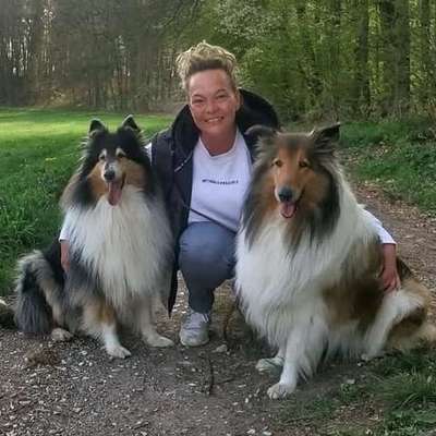 Hundeschule hundeTeamschule Elli Mayer in Oberasbach  – Dogorama