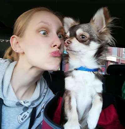 FOTOCHALLENGE 70 - Dein Hund im Auto-Beitrag-Bild