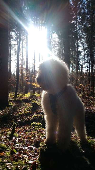 Foto Challenge Nr. 79-Beitrag-Bild