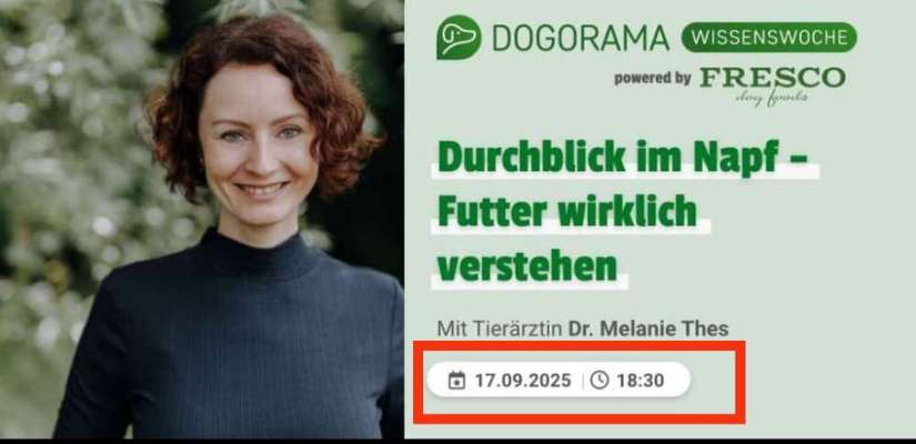 🐾 Die große Dogorama Wissenswoche 2025-Beitrag-Bild