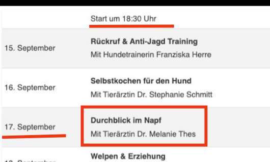 🐾 Die große Dogorama Wissenswoche 2025-Beitrag-Bild