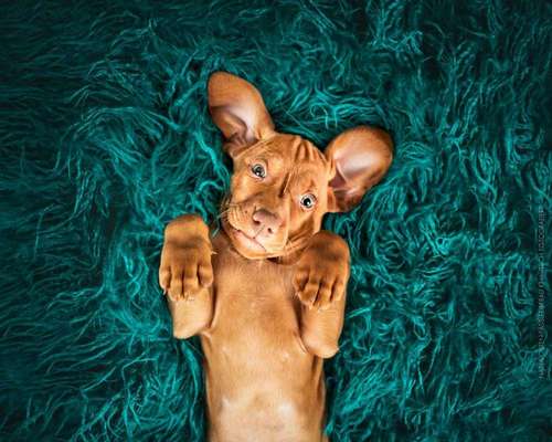 Sie werden so schnell erwachsen ...-Beitrag-Bild