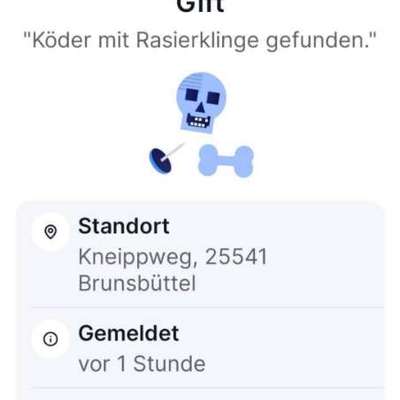 Giftköder-Köder mit Rasierklingen-Bild