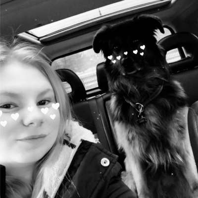 Hundetreffen-Treffen für Spazier und Spieletreffen-Profilbild