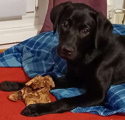 Zeigt eure Portraits-Beitrag-Bild