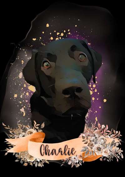 Photoshop und Co.-Beitrag-Bild