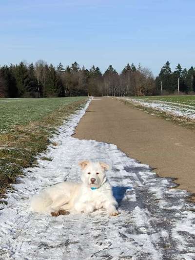 Gibts hier Mioritic Besitzer?-Beitrag-Bild