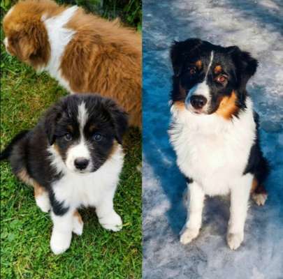 Vorher.... Nachher-Beitrag-Bild