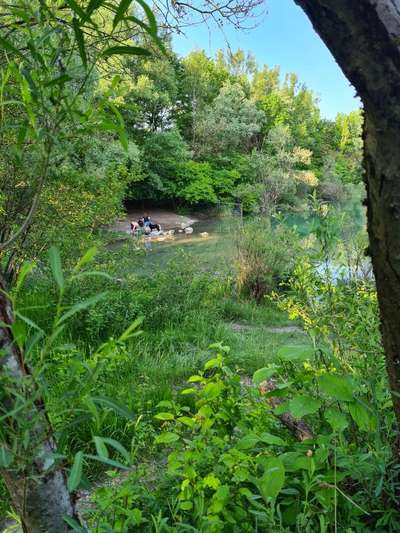 Leinenpflicht während Brut und Setzzeit-Beitrag-Bild