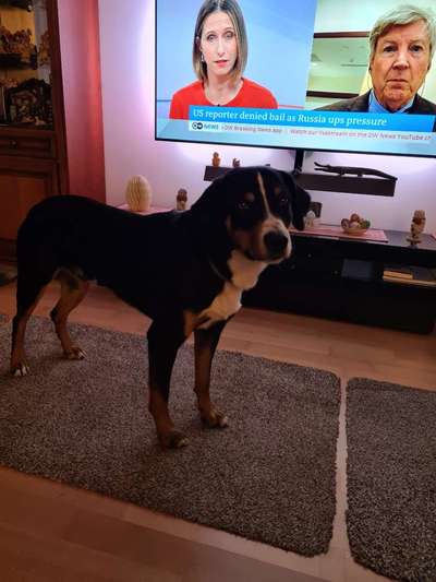 Platz aussuchen lassen.-Beitrag-Bild