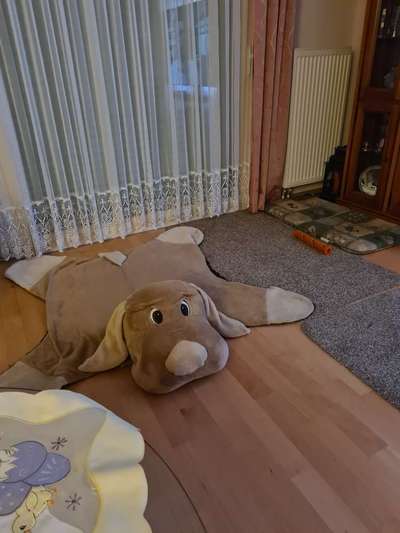 Platz aussuchen lassen.-Beitrag-Bild