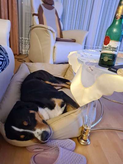 Platz aussuchen lassen.-Beitrag-Bild