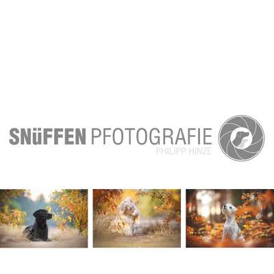 Tierfotografen-SNüFFEN PFOTOGRAFIE I Philipp Hinze-Bild