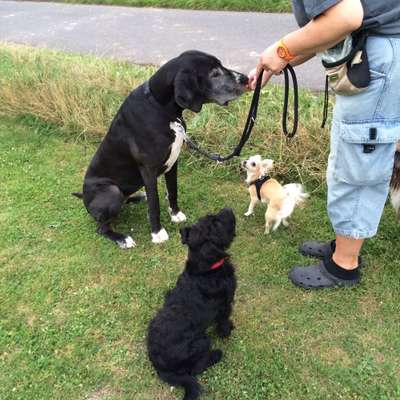 Moviestar-Pics!-Beitrag-Bild