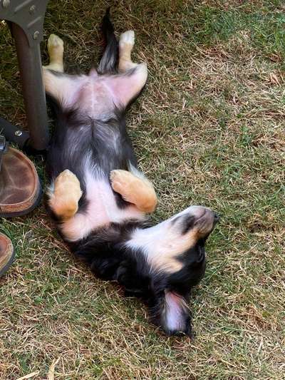 FOTO-Challenge  NR. 91: Die pure Entspannung-Beitrag-Bild