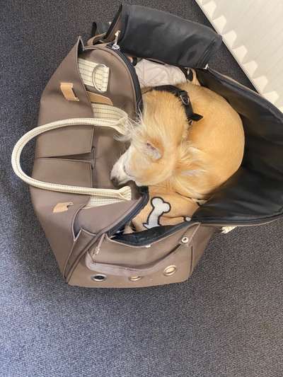 Zeigt her...-Beitrag-Bild