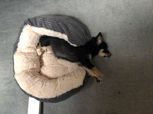 FOTO-Challenge  NR. 91: Die pure Entspannung-Beitrag-Bild