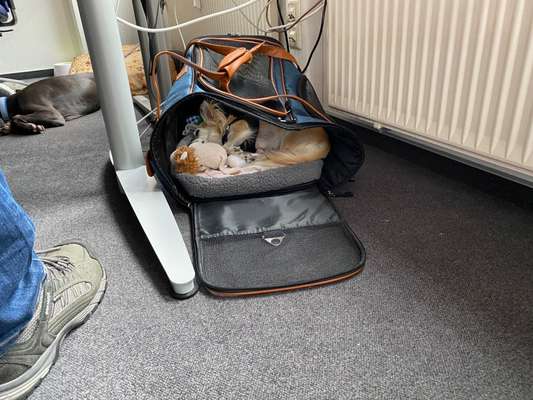 Zeigt her...-Beitrag-Bild