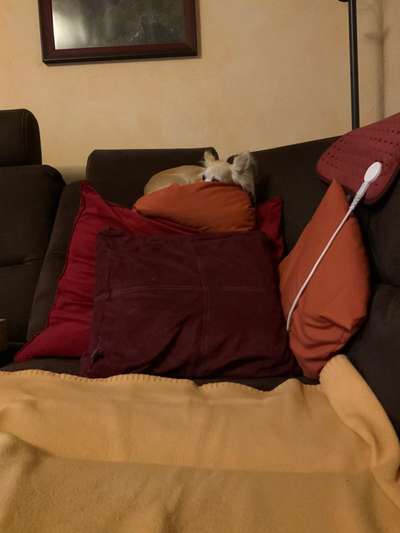 Moviestar-Pics!-Beitrag-Bild