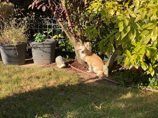 FOTO-Challenge  NR. 91: Die pure Entspannung-Beitrag-Bild