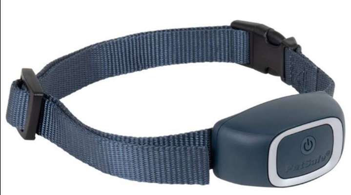 Hund bellt beim Klingeln-Beitrag-Bild