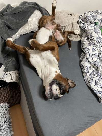 Fotochallenge Nr.65-Beitrag-Bild