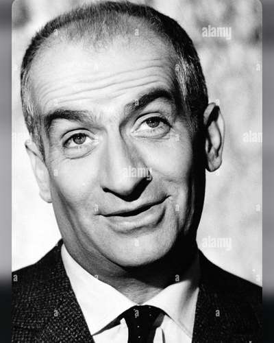 Wie heißt dein Hund?-Beitrag-Bild