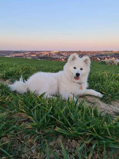 Seltene Rassen!-Beitrag-Bild