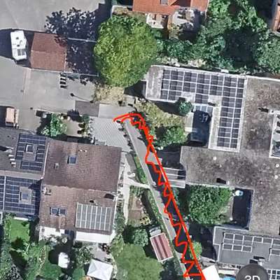 Giftköder-Blaukorn !!-Bild