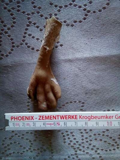 Analdrüsse-Beitrag-Bild