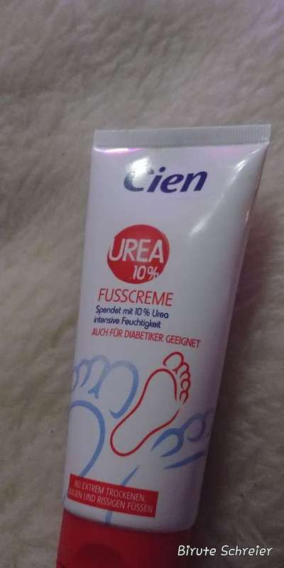 Trockene Pfoten-Beitrag-Bild