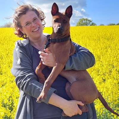 Hundetreffen-Treffen mit souveränen Hunden-Profilbild