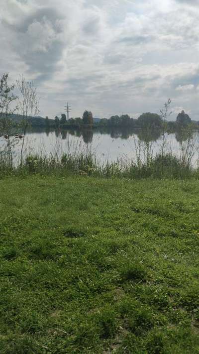 Hundeauslaufgebiet-Silbersee-Bild