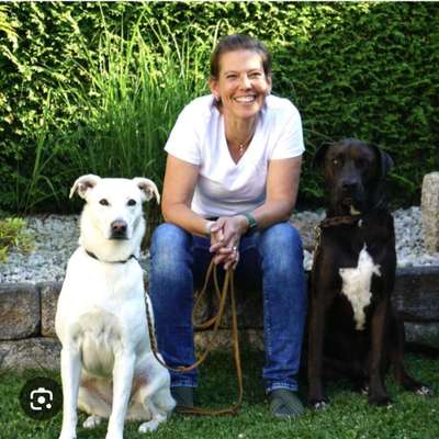 Hundeschulen-Birgitta Schulz - Lizenzierte Hundetrainerin und Menschen Coach-Bild