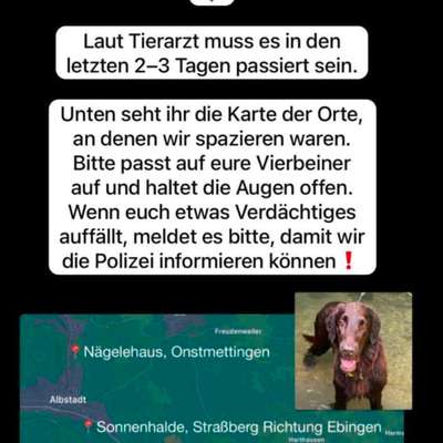 Giftköder-Giftköder-Bild